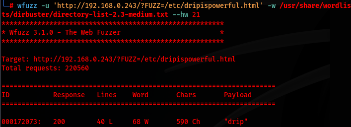wfuzz